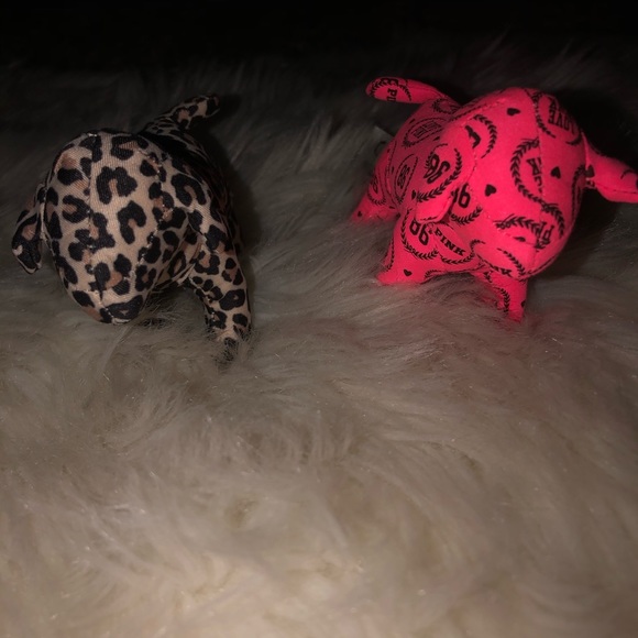 🆚 Victoria’s Secret Dogs - Picture 2 of 2